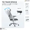 Essence Chair